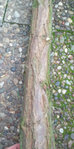 6b.jpg