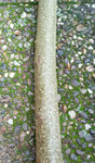 7b.jpg
