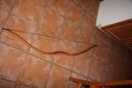 K800_IMG_2407.JPG
