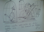 DSC00511.JPG