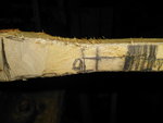 DSCI5157.JPG (188.56 KiB) 3733 mal betrachtet Raspel hat Riss gefuttert