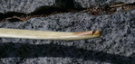 07_NockOWa.jpg