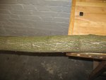 IMG_2506.JPG