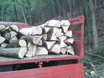 Holz auf Robur.jpg (287.01 KiB) 14449 mal betrachtet Sieht auf den Fotos immer voll wenig aus....;)