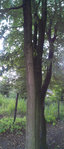 IMAG0275.jpg