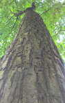 IMAG0279.jpg