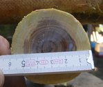 DSCF4424.JPG