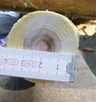 DSCF4425.JPG