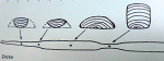 DSC00637.JPG
