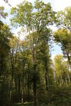 IMG_3961 - Kopie.JPG