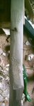 PICT0008.JPG