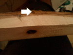 WP_20141030_009.gif