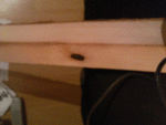 WP_20141030_014[1].gif