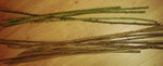 Ausbeute: 14 Hasel und 5 Rosen