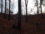 ...allerdings besaß ein Baum die<br />unverfrorenheit, einem seiner Pfeile <br />in die Flugbahn zu springen, woraufhin <br />selbiger Pfeil dann halt operativ <br />wieder entfernt werden mußte...