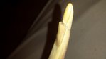 Overlay aus Wacholder