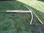 Armbrust Esche_Duglasie_1.jpg