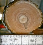 P4270022.jpg (191.2 KiB) 15454 mal betrachtet Nicht ganz so toll