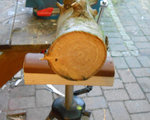 Schnitt