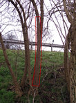 Holunder2_Habitat.jpg (1.05 MiB) 3376 mal betrachtet Holunder 2 als Reserve. 220 cm lang, unten 10 cm Durchmesser, oben 9 cm Durchmesser.
