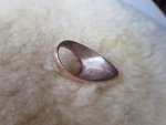 Skua Ring003.JPG