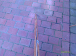 IMAG0041.jpg