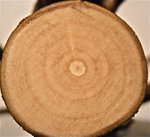 oberes Stammende (36mm) geschliffen as required