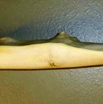 gammel.jpg (15 KiB) 11293 mal betrachtet Gammelstelle oWa