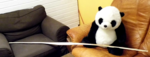 Entspannt wie ein Panda!