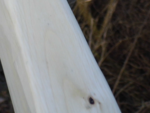 Fadeout-Detailbild. Nicht besonders schön, dafür von besonders nah photographiert!