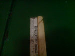 DSC00802.JPG
