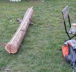 Friedeibrechts.jpg (437.82 KiB) 4427 mal betrachtet links