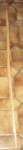 Eiche 001.jpg