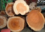DSC01455.JPG