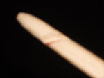 DSCN0213.JPG
