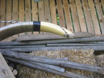 Tip mit Rehhorn und Recurve mit Wicklung