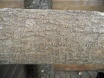 DSCN0221.JPG