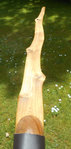 150625 Bauch.jpg (425.38 KiB) 4910 mal betrachtet Bauch unterer WA