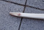 DSC01791.JPG