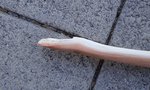 DSC01792.JPG