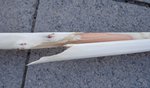 DSC01801.JPG