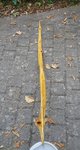 Sehnenverlauf