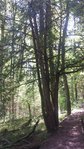 20150605_141909.jpg