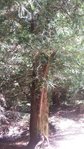 20150605_144226.jpg