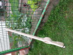 20150827_150920.jpg