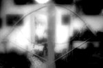 nachbearbeitetes Bild vom Tiller , weil das Bild mit der Kamera unscharf geworden ist