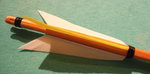 Forsythie-35#-Fletching.JPG