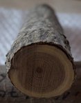 DSC02225.JPG