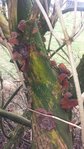 20160101_132359.jpg