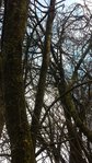 20160101_135450.jpg
